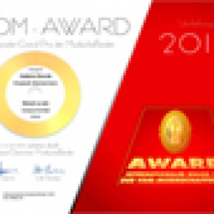 Gracia Kombé gewann den VDM-AWARD 2017 59764fe90834c.jpg